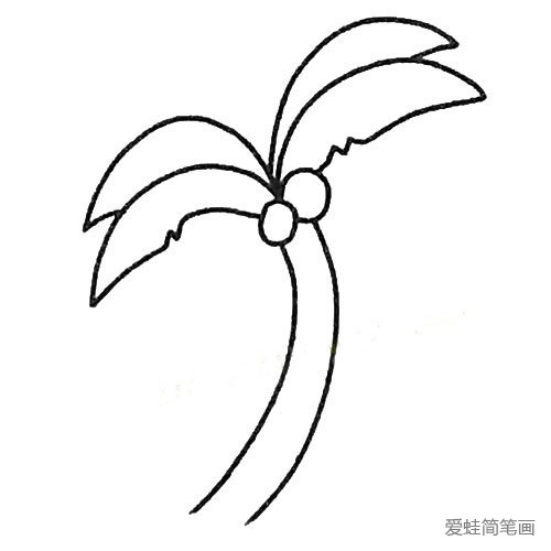 四步画出简单的椰子树简笔画