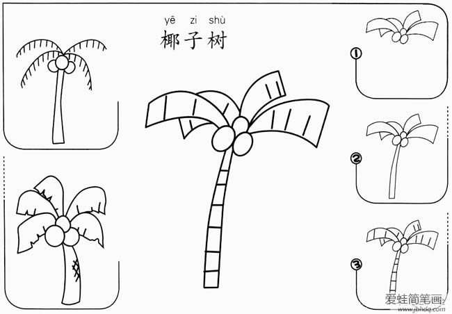 椰子树如何画步骤图