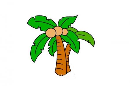 椰子树简笔画的画法