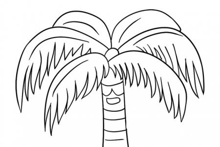 椰子树简笔画
