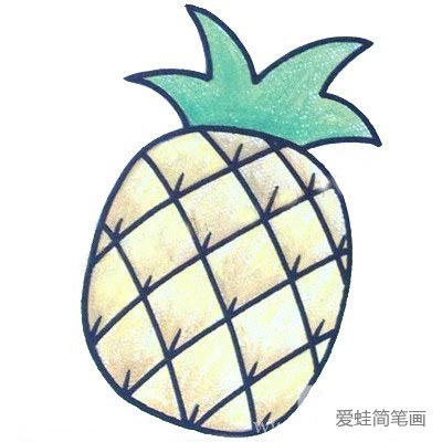 菠萝简笔画彩色