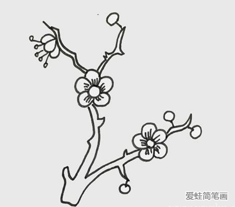 树枝上的梅花简笔画