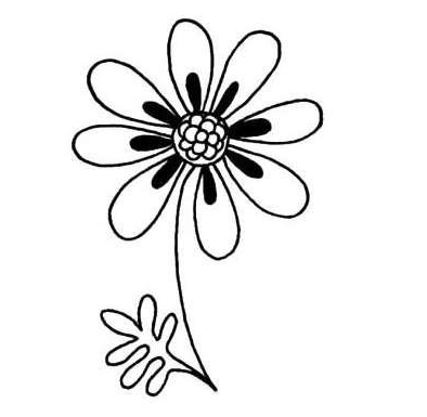 教你画一朵菊花