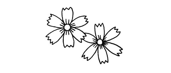 四步学画漂亮的菊花