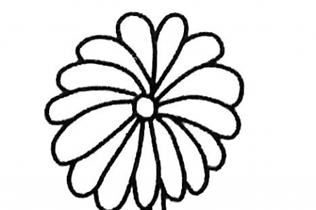 一组菊花的简笔画图片