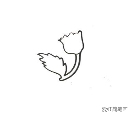 康乃馨简笔画