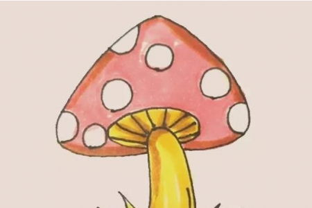 彩色蘑菇简笔画