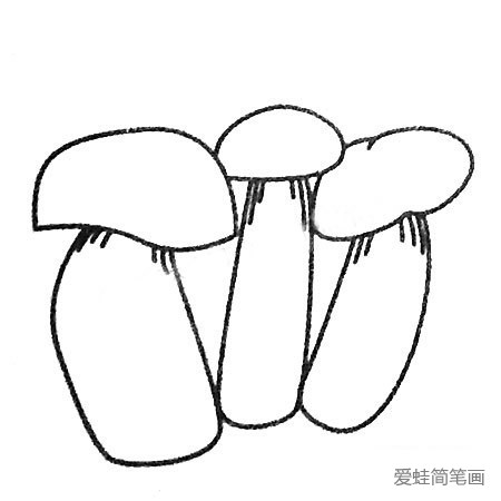蘑菇简笔画图片大全