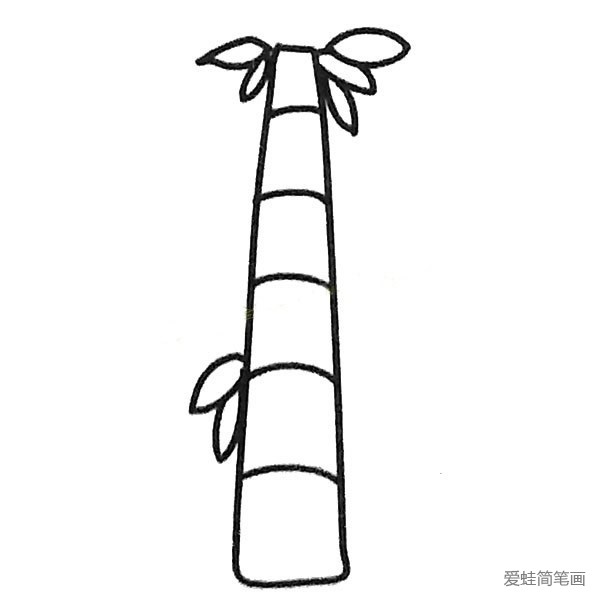 6组漂亮的竹子简笔画图片