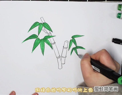 竹子怎么画