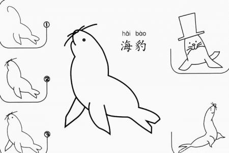 海豹如何画简笔画