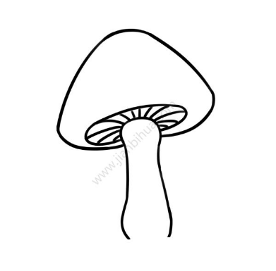 蘑菇简笔画