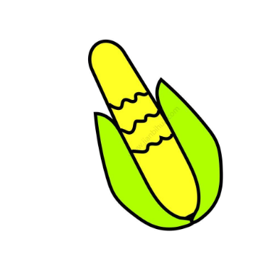 玉米简笔画图片