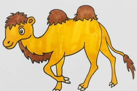 骆驼简笔画彩色画法