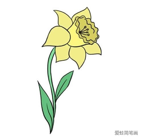 一朵黄水仙花简笔画