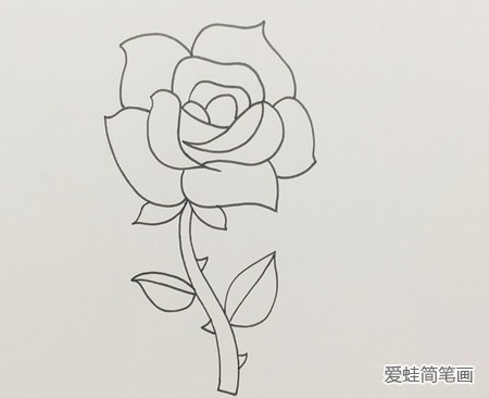 盛开的玫瑰花简笔画