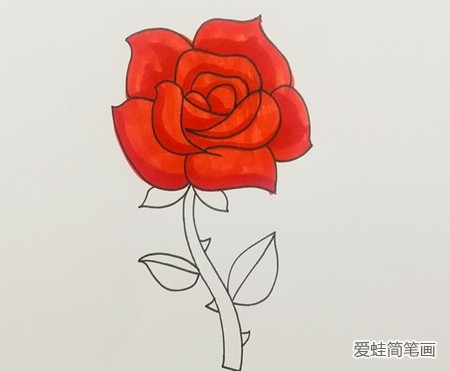 盛开的玫瑰花简笔画