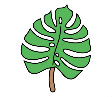 绿色椰树叶简笔画