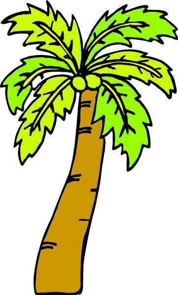 颜色绚丽椰子树简笔画