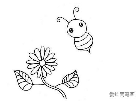 蜜蜂采蜜线描画教程