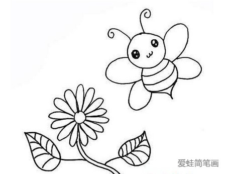 蜜蜂采蜜线描画教程