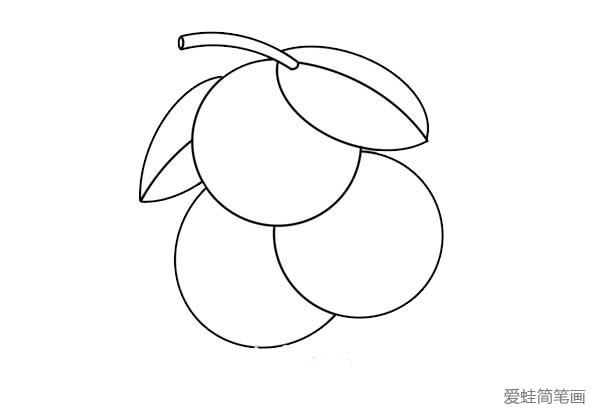荔枝怎么画简单又好看