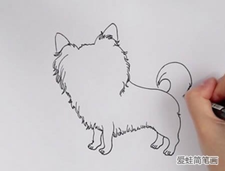 漂亮的蝴蝶犬简笔画怎么画