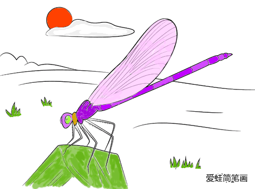 落在草上的蜻蜓简笔画怎么画
