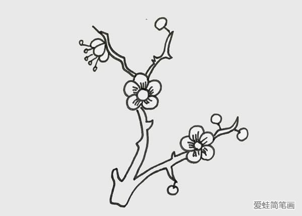 树枝上的梅花简笔画怎么画
