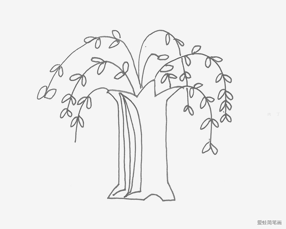 垂下的柳树简笔画