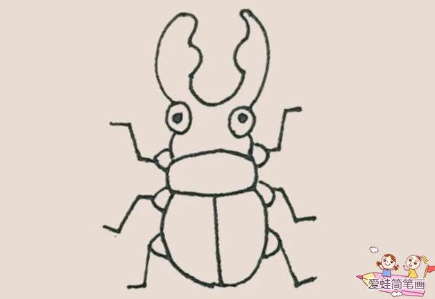 怎么画甲壳虫的一类