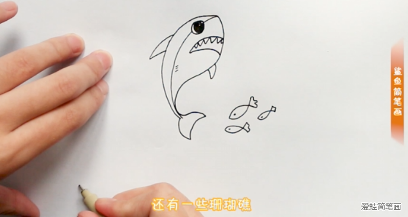 小鲨鱼的画法简笔画