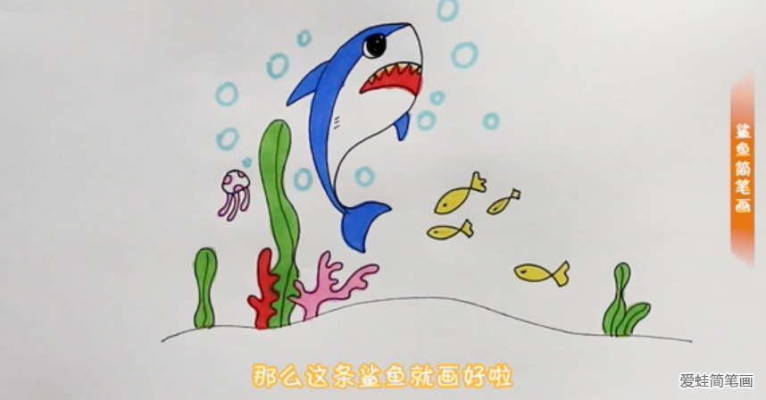 小鲨鱼的画法简笔画