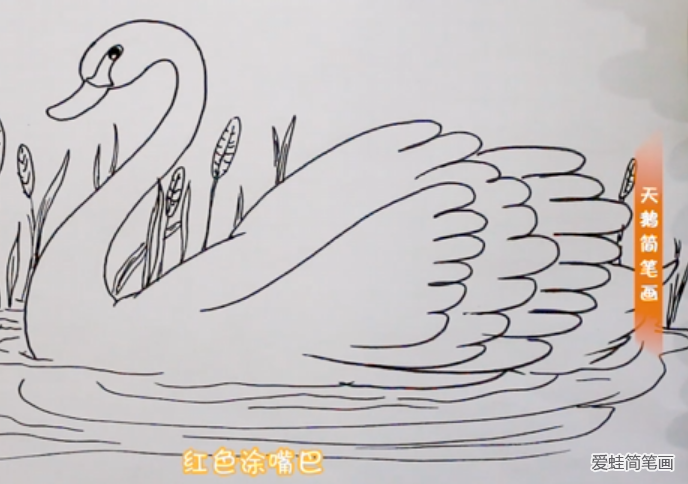 戏水的天鹅简笔画怎么画