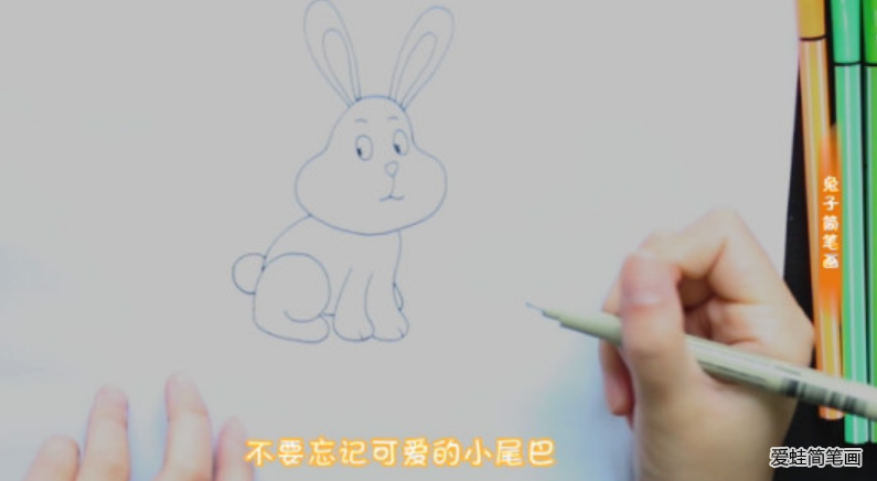 画兔子拔萝卜的简笔画