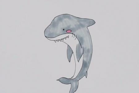 公牛鲨简笔画怎么画