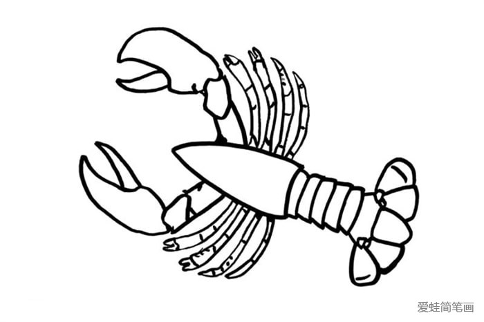 澳洲大龙虾简笔画怎么画