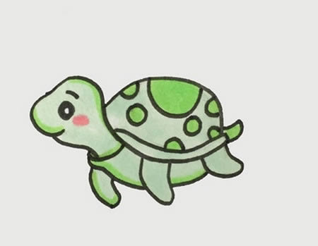 如何画海龟简笔画步骤