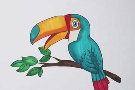 漂亮的大嘴鸟的画怎么画