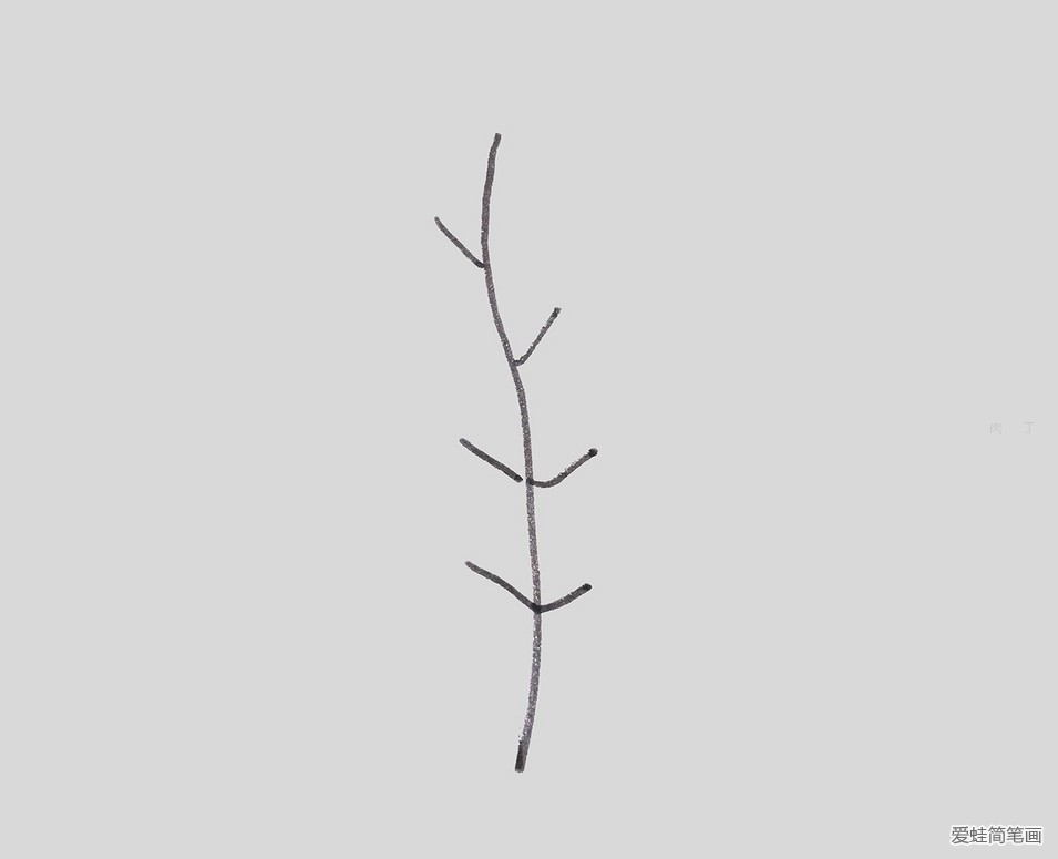 怎样画树叶简单画法
