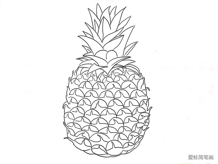 怎样教小朋友画菠萝