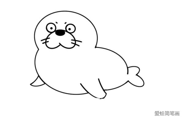 海狮怎么画才可爱