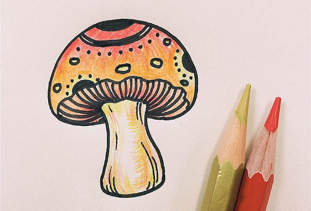非常像的带颜色蘑菇简笔画